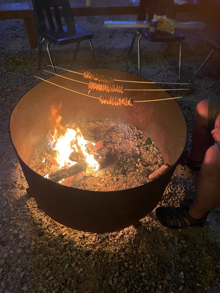 Camping at PauseOnError